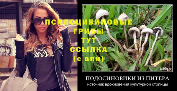 прущая мука Каменногорск