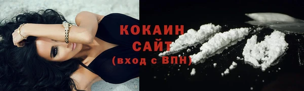 ALPHA PVP Каменка