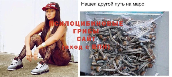 прущая мука Каменногорск