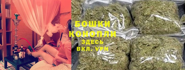ALPHA PVP Каменка