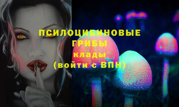 прущая мука Каменногорск