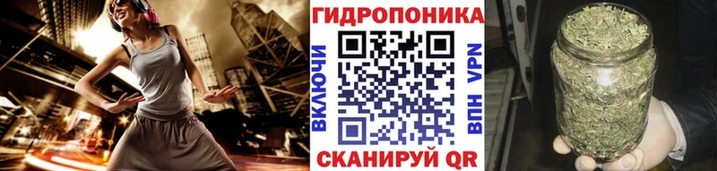 сколько стоит  Колпашево  Конопля планчик 
